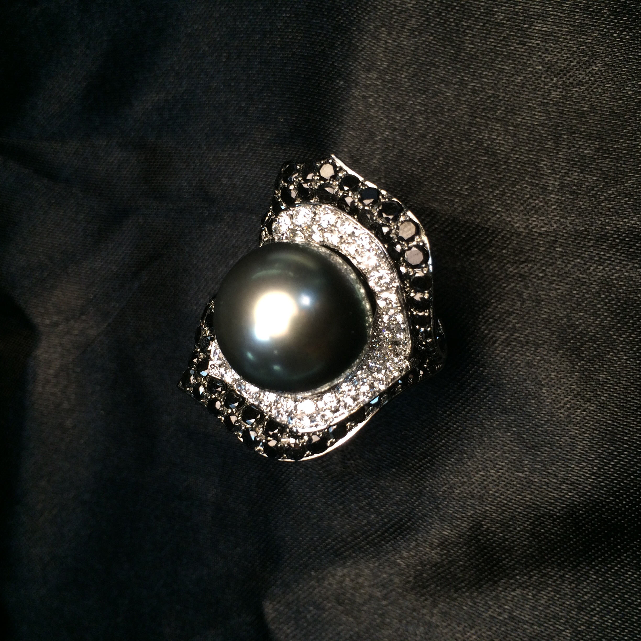 科林法瑞尔 黑珍珠图片